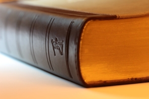 Medical conditions that may qualify for disability benefits