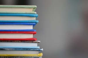 Social Security Disability in Illinois book download